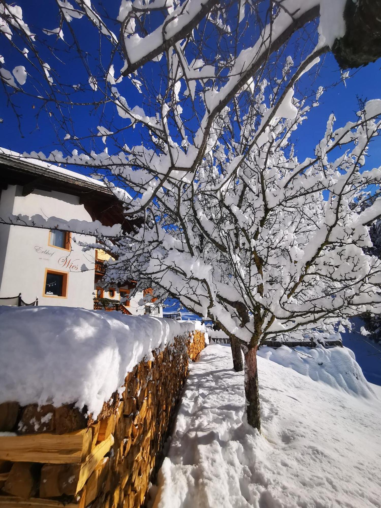 אוץ Wieserhof Tirol מראה חיצוני תמונה