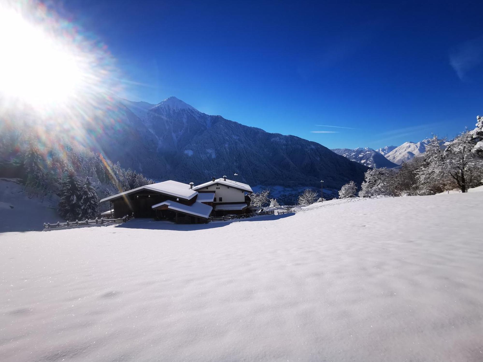 אוץ Wieserhof Tirol מראה חיצוני תמונה